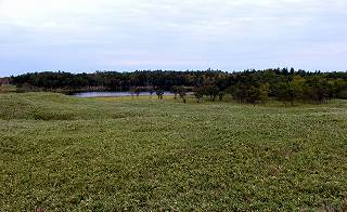 20080929-1002hokkaido (15).jpg